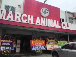 Grand Opening “March Animal Clinic”