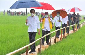 DUA SAHABAT SEPERGURUAN, BEKERJA DALAM SENYAP