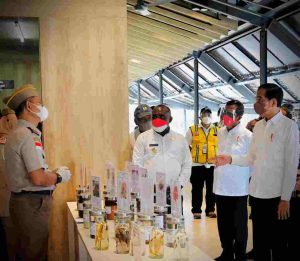 Resmikan PLBN Sota, Presiden Jokowi Tinjau Komoditas Pertanian Unggulan Ekspor Papua