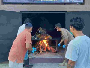 Sepanjang Januari – Oktober 2021, Karantina Merauke Sudah Lakukan 50 Kali Pemusnahan