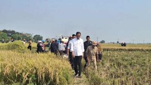 Selamatkan Indonesia dari Kepentingan dan Ambisi Kekuasaan Jokowi, Keluarga, serta Kroni-kroninya: Kembalikan Indonesia untuk Kepentingan Rakyat Seluruhnya