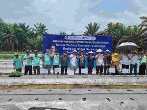 Melangkah ke Depan: Perubahan Paradigma Pertanian di Era Biosoildam MA 11