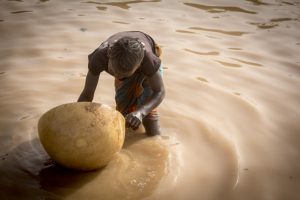 Meskipun Ada Kemajuan, Masih Ada 138 Juta Pekerja Anak di Seluruh Dunia – ILO, UNICEF